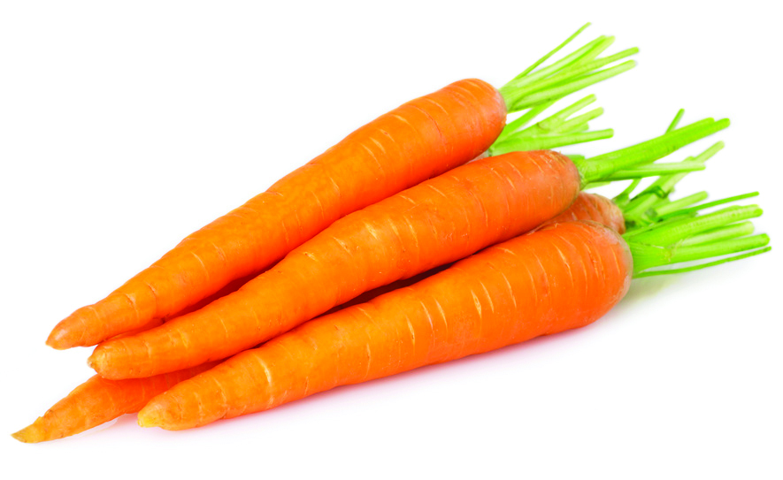 carrot