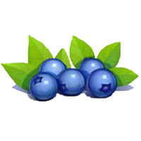 berry