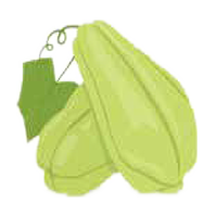 chayotte