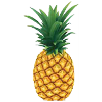 pineapple