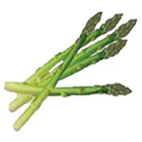 stick
