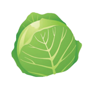cabbage