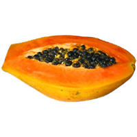 papaya